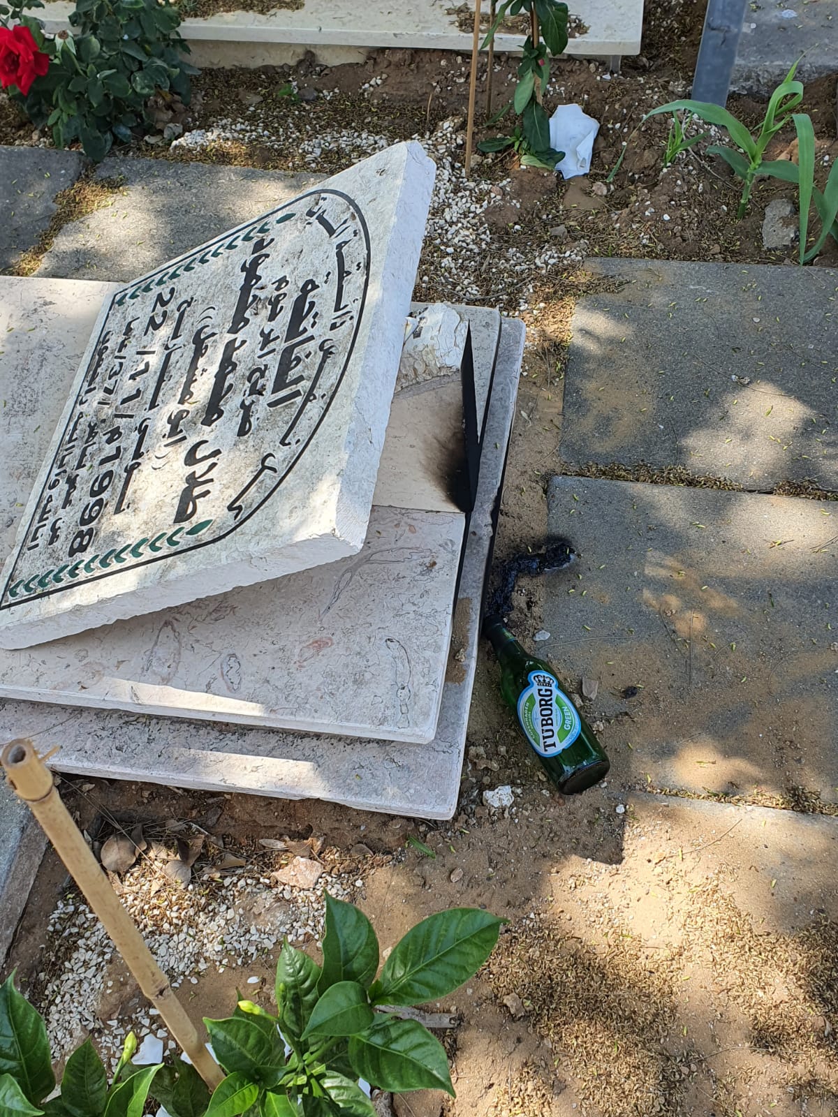 WhatsApp Image 2021-05-12 at 12.25.29 PM (1).jpeg